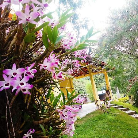 Casa Com Flores Pedra Azul  Buitenkant foto