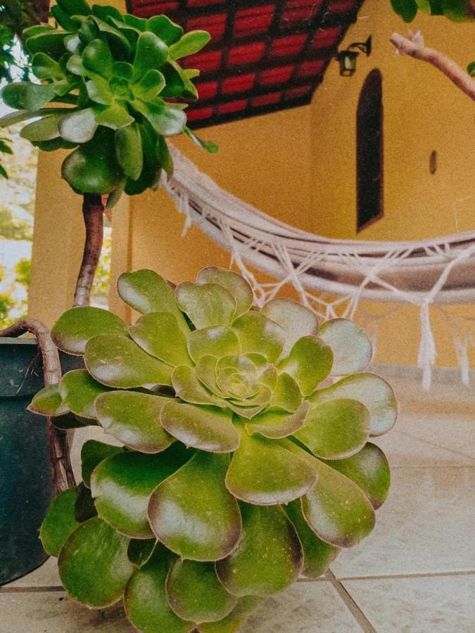 Casa Com Flores Pedra Azul  Buitenkant foto